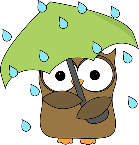 Owl in the Rain