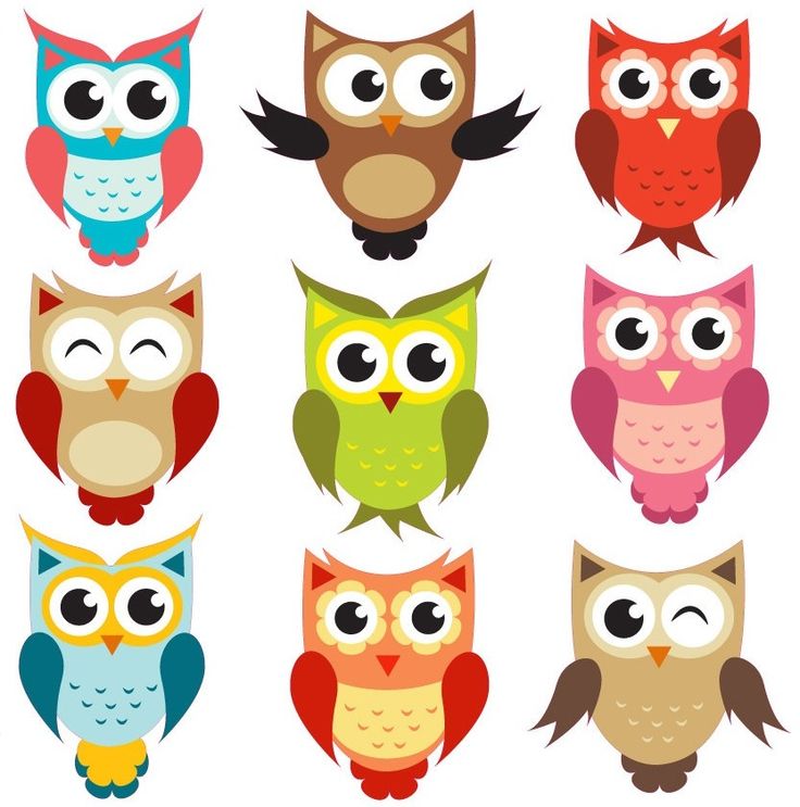 Owl Reading Clipart Clipart .