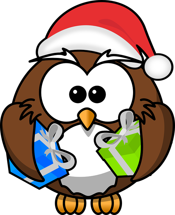 Owl, Santa, Animal, Bird, Chr - Christmas Owl Clip Art