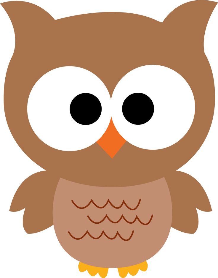 Free Cartoon Owl Clipart by 0