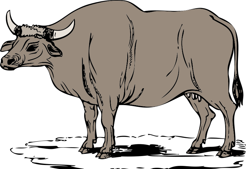 Royalty-Free (RF) Ox Clipart 