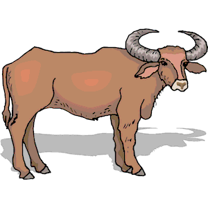 Ox Clipart Cliparts Of Ox Fre - Ox Clipart