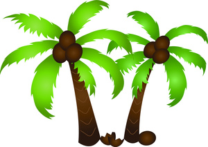 palm tree coconut clipart