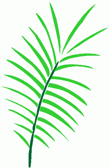 palm branch clipart