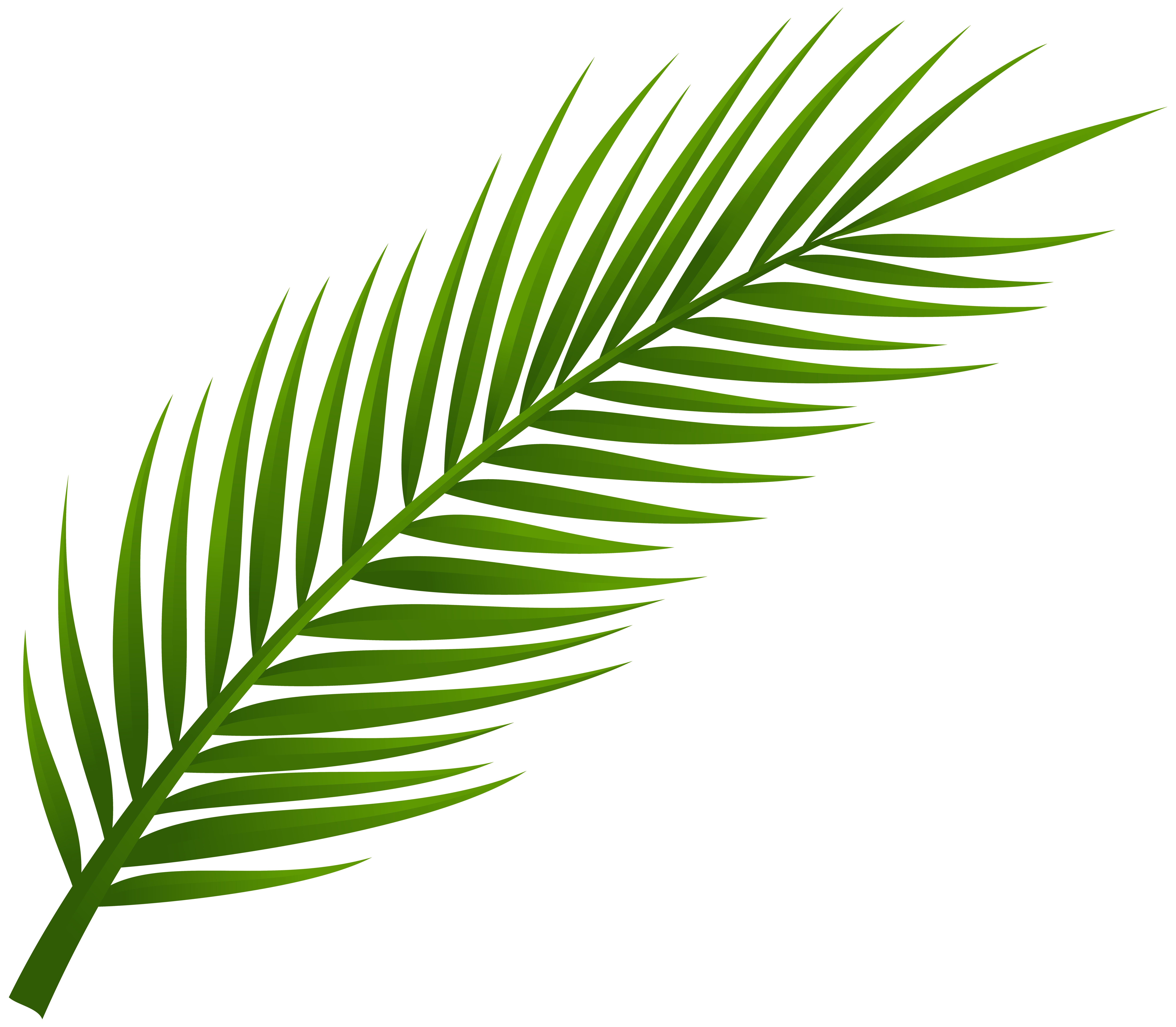 Palm Leaf Branch Clipart #1