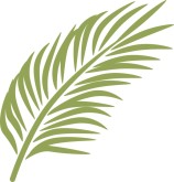 Palm Leaf Clipart Clipart Bes - Palm Branch Clip Art