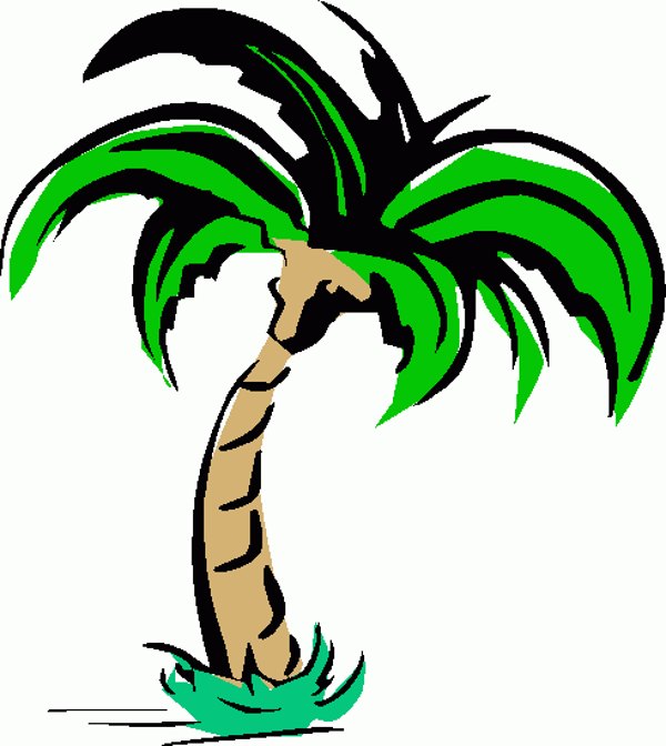 Palm tree art tropical palm trees clip 2 clipart 4
