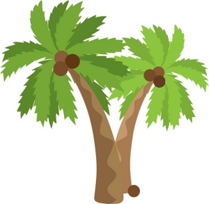 Palm Tree Leaves Clipart