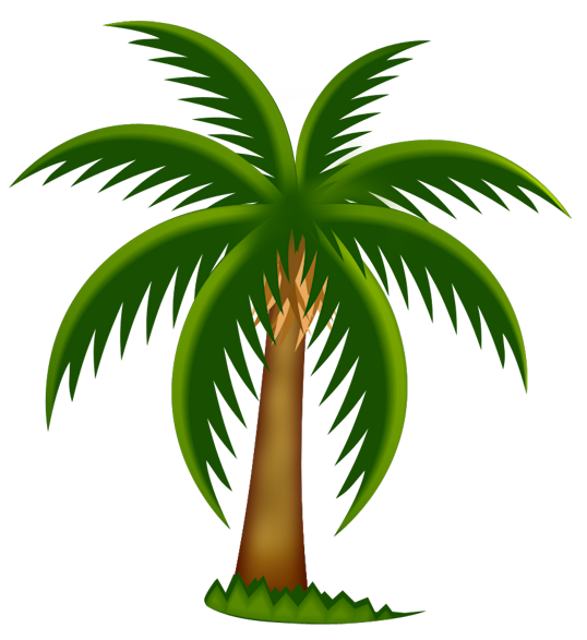 Single Palm in Calming Green