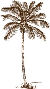 Palm Tree clip art - Palmetto Tree Clip Art