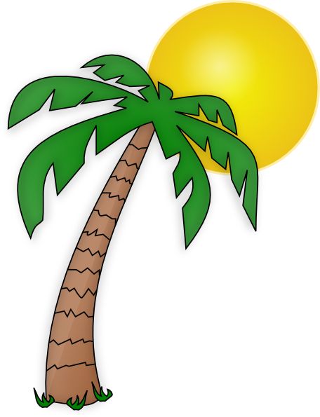 Florida palm tree clipart