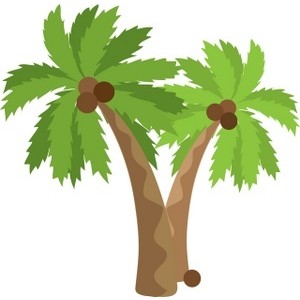 Palm Tree Coconut Clipart Cli