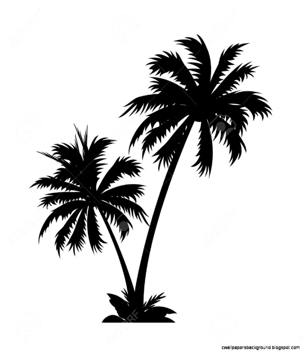 Palm tree clipart black and white clipartall