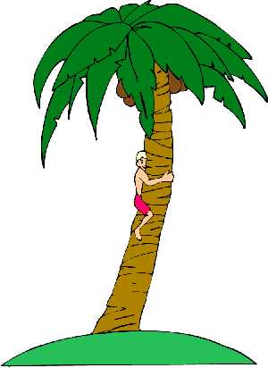 palm tree clipart - Clipart Of Palm Trees