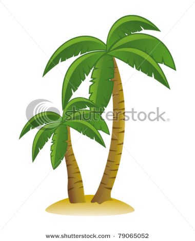 Palm tree gallery trees clipa