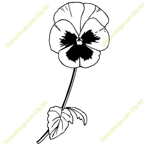 pansy clipart