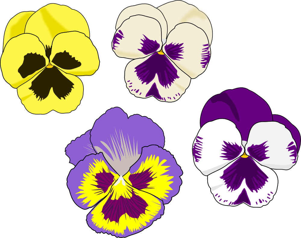 Pansy Flower Clipart ...