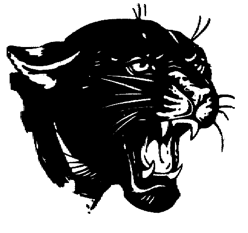 Panther Head Clipart Imagebasket Net