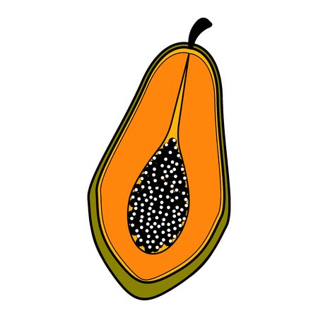 Isolated cut papaya icon. Vector illustration design Illustration