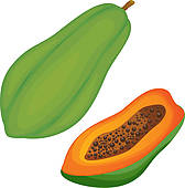 Papaya fruit pattern seamless; Fruit illustration