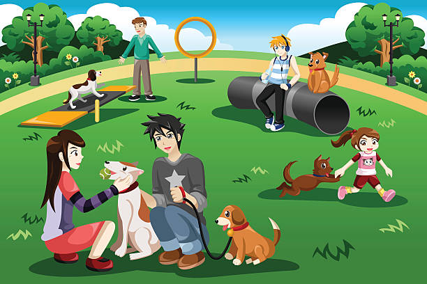 People in a dog park vector art illustration