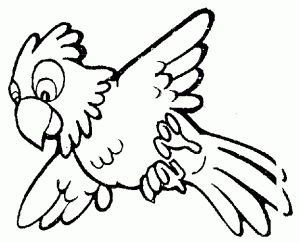 Parrot Black And White Parrot Clipart 300x242 Gif