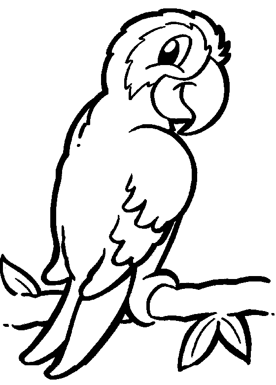 Parrot Black And White Parrot Coloring Page 03 Gif