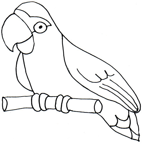 Parrot clipart black and white 1 Parrot clipart black and white 3