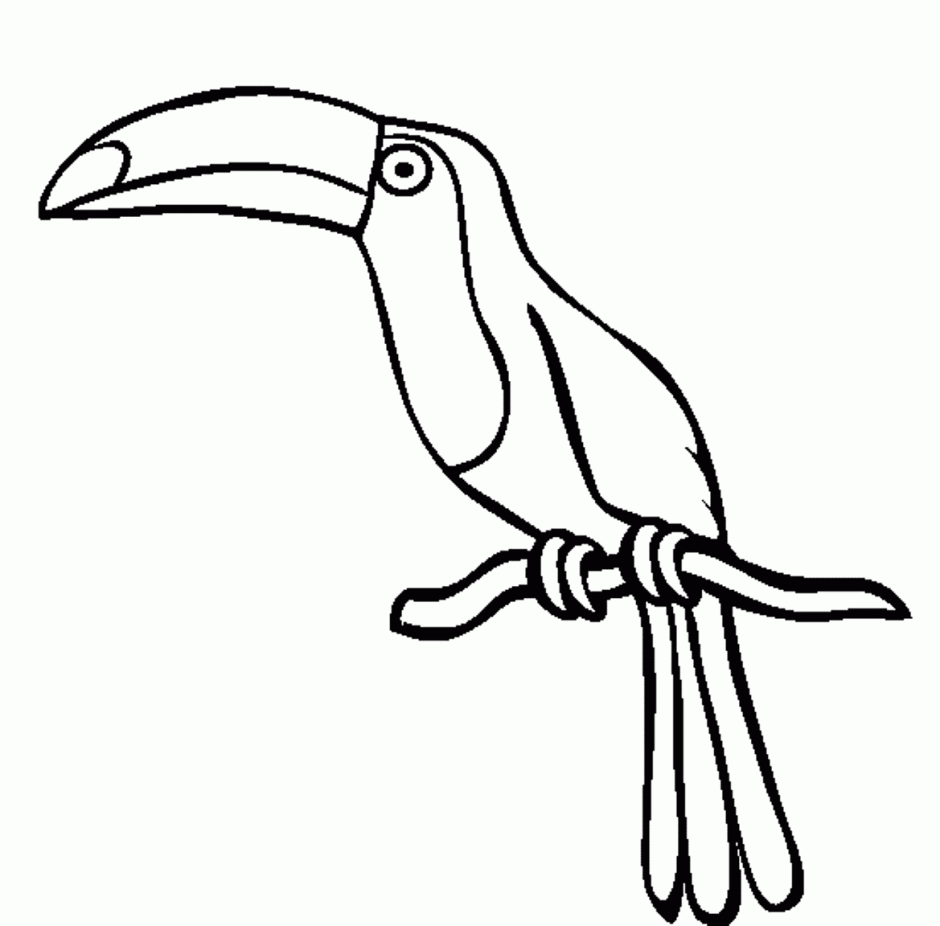 ... Parrot clipart black and white 6 ...