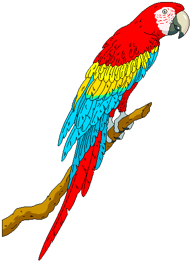 parrot clipart - Clipart Parrot