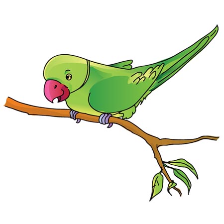 Cartoon Parrot Clip Art. Sear