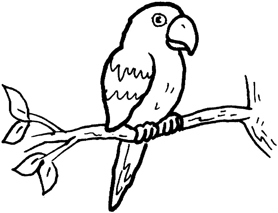Parrot Clipart Black And Whit