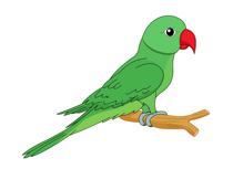 Parrot Green With Red Beak Cl - Clipart Parrot