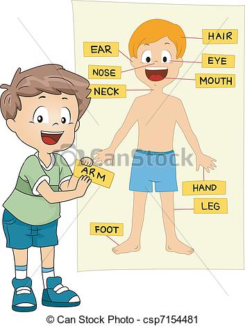 ... Parts of the Body - Illustration of a Kid Identifying the... Parts of  the Body Clipartby ...