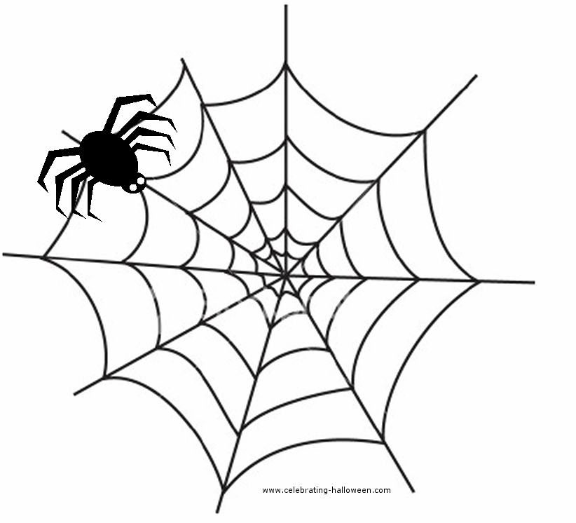 Pattern spider web clipart - Spider Web Clip Art