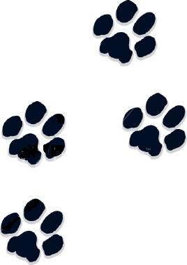 Paw Prints Clipart Free Clip  - Dog Paw Print Clipart