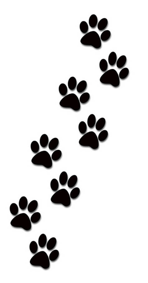 Paw prints paws tattoo designs for women kids and everybody paw print clip art
