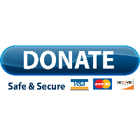 Download Paypal Donate Button Free PNG photo images and clipart | FreePNGImg