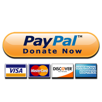 Paypal Donate Button High-Quality Png PNG Image