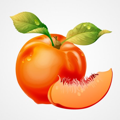 Peach Clipart-Clipartlook.com