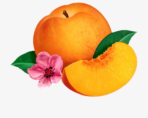 peach, Peach Clipart, Flowers, Leaf PNG Image and Clipart