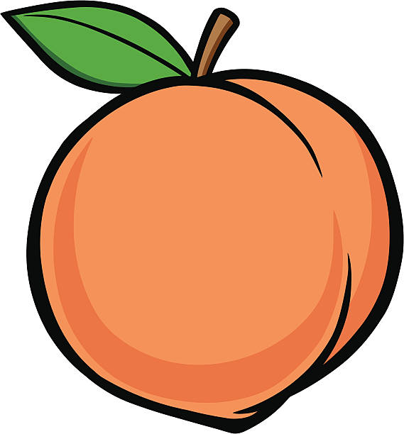Peach vector art illustration - Peach Clipart