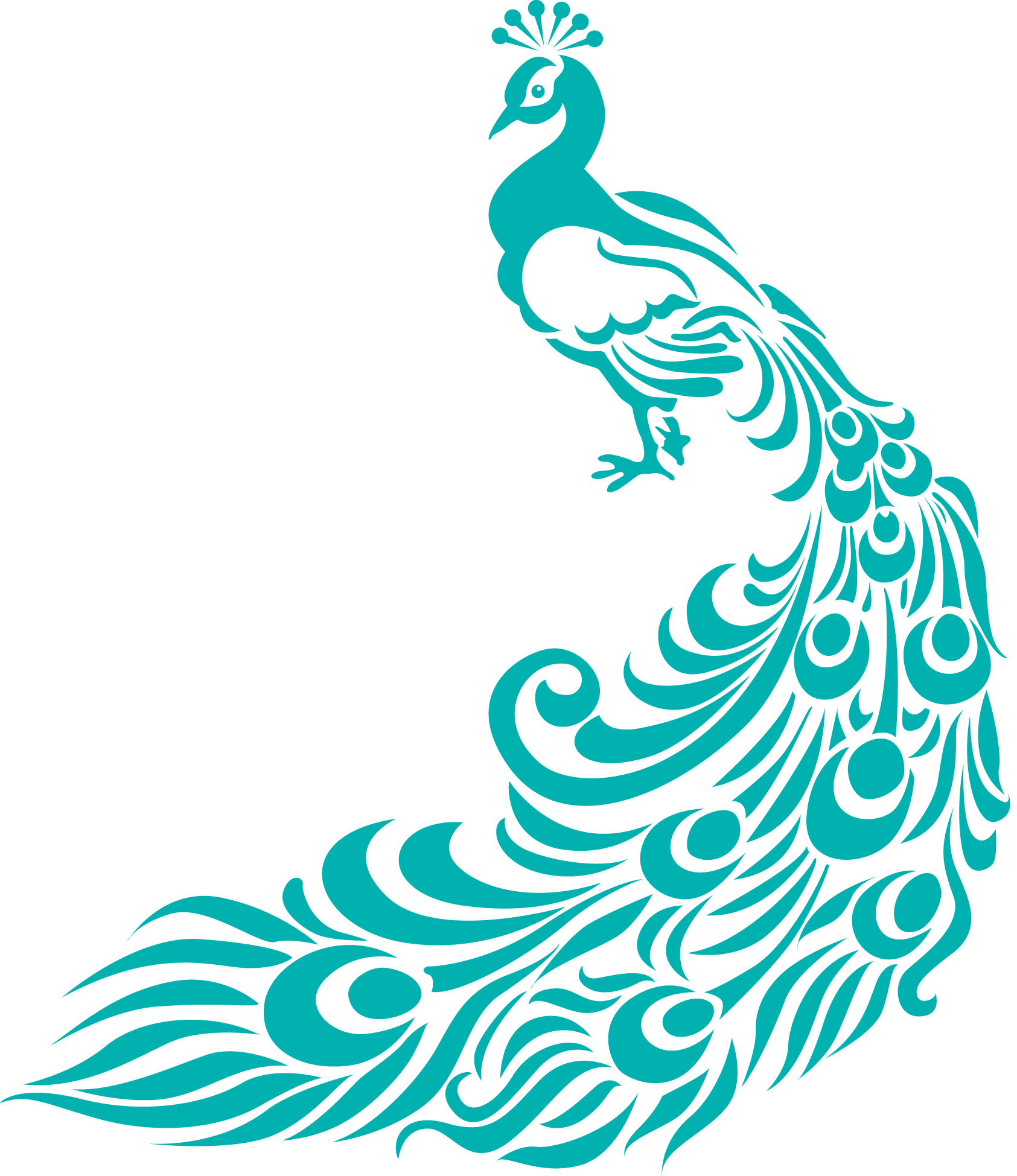 peacock clipart - Peacock Clipart Free