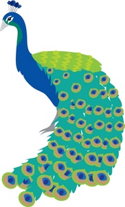 peacock clipart - Clipart Peacock