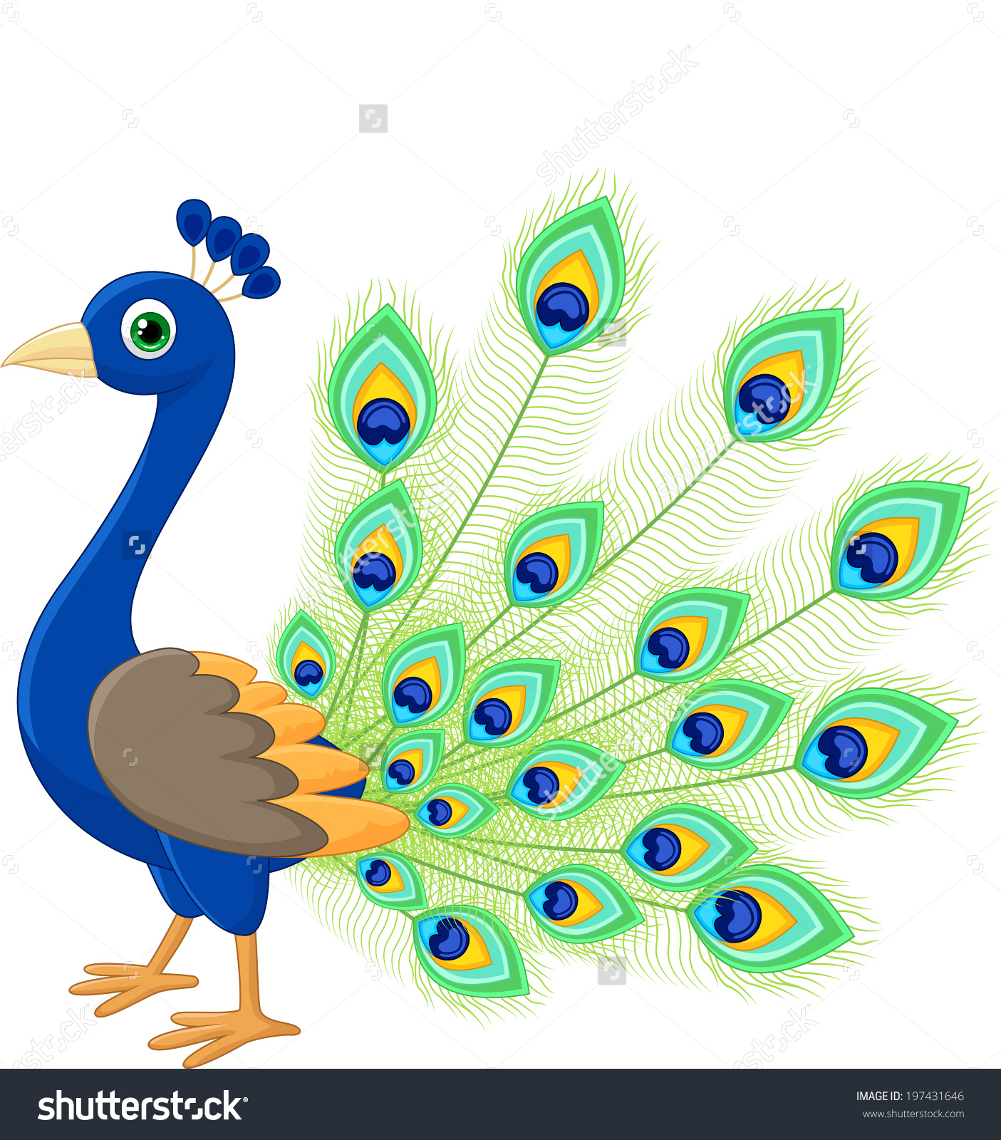 Peacock Clipart .
