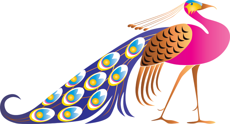 Peacock Clipart