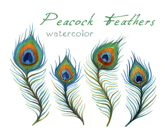 Peacock feather border clipart free clipart images