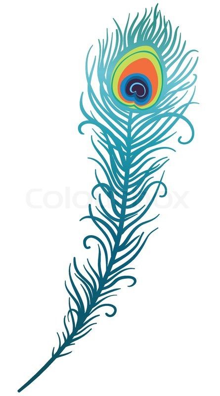 Peacock Feather Drawing Clipart