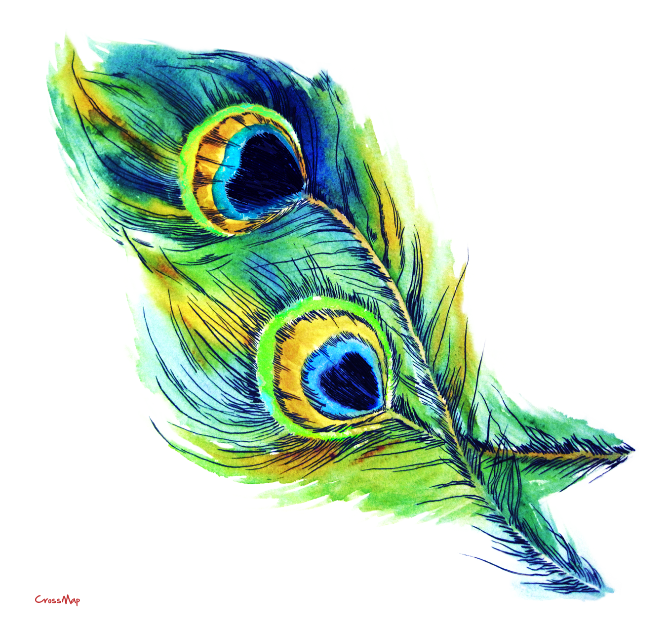 peacock: Cute peacock cartoon