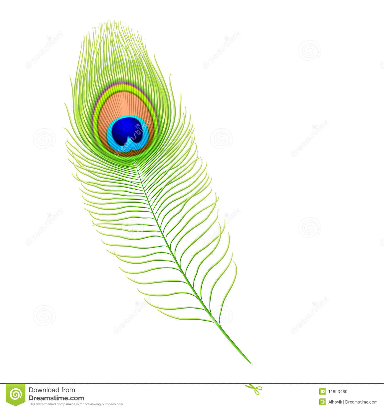 Peacock feather - Peacock Feather Clip Art